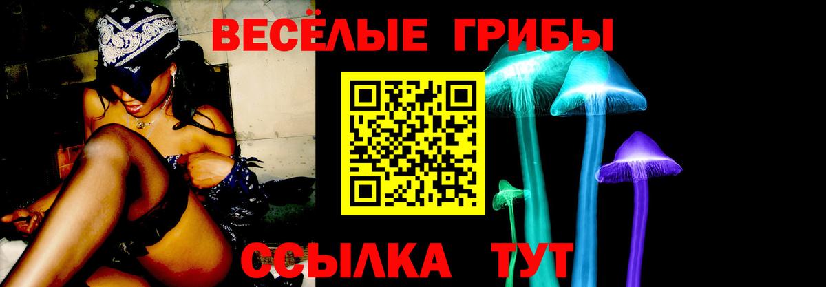 Кунгур  Псилоцибиновые грибы ЛСД  хочу   Вход с VPN  Псилоцибиновые грибы Psilocybe 
