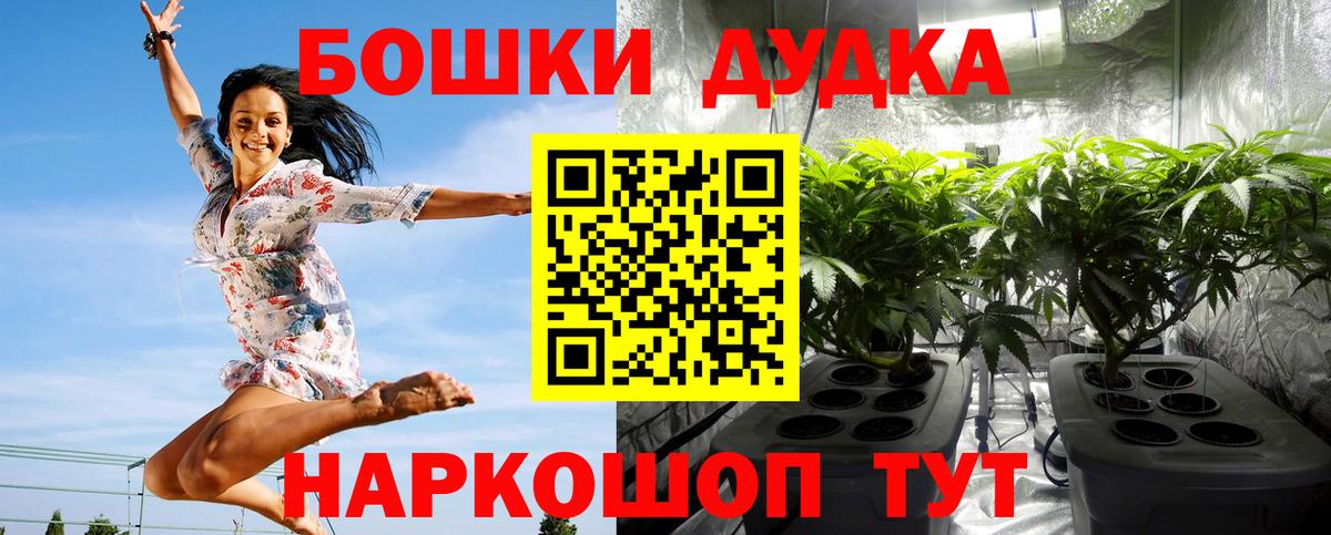 Марихуана OG Kush  Вход с VPN  Бошки марихуана VHQ  МАРИХУАНА Amnesia  Кунгур 